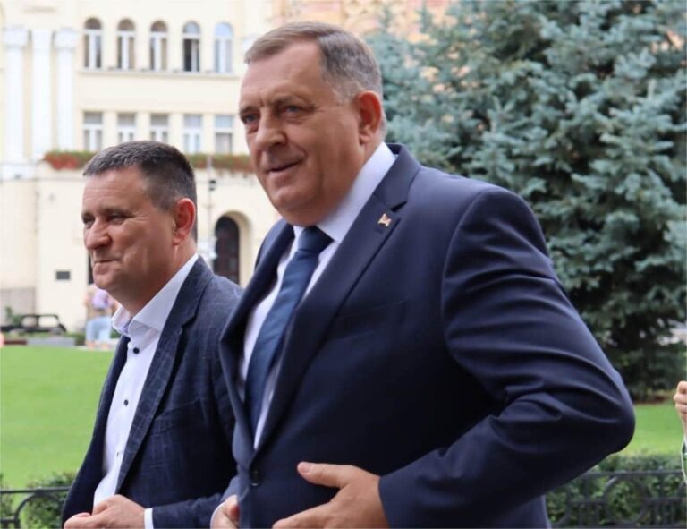 Пад Владе Ђајића