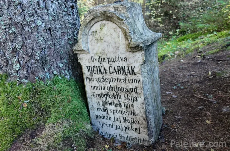 Трагична судбина Мицике Чармак – дјевојчице која је страдала 1914. године