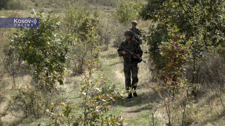 Група Албанаца пуцала на припаднике Војске Србије