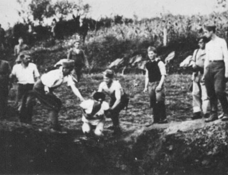 Резолуција Црне Горе о геноциду, не и Београда