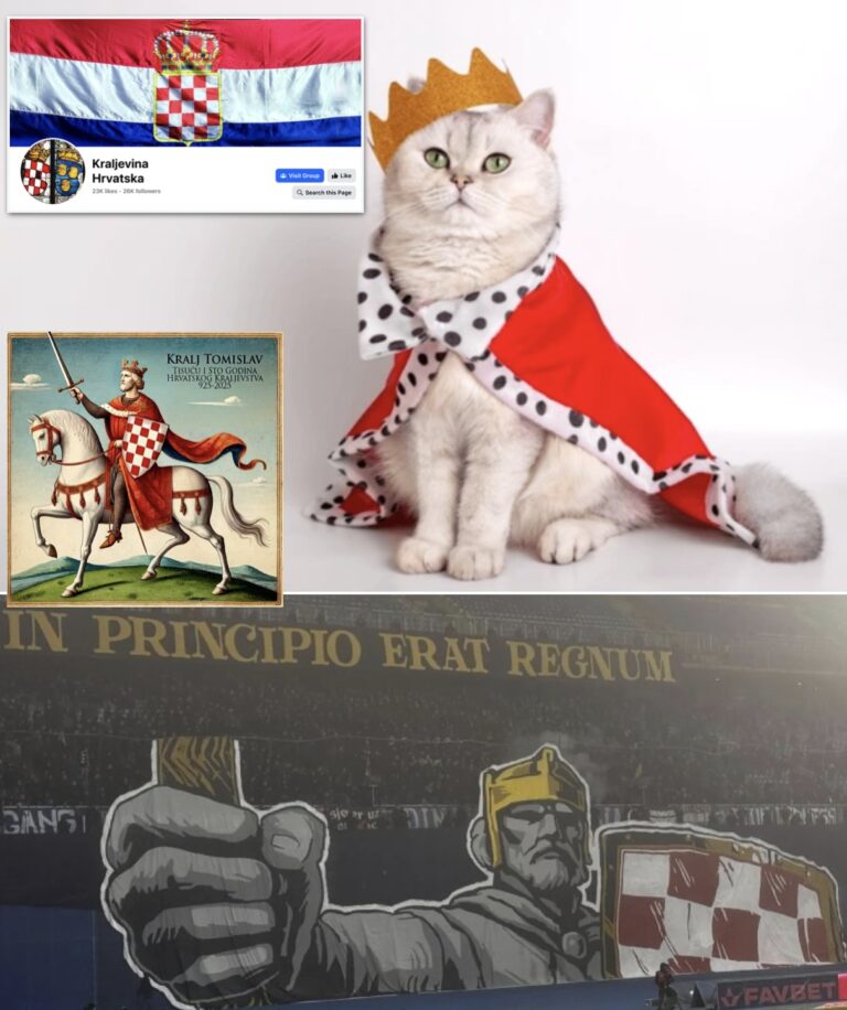 Хрватска историја је бајка и Дизниленд