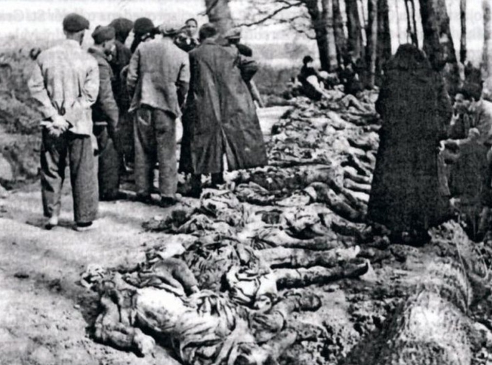 Крвави јануар у Славонији и у Драксенићу